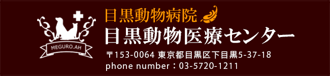 目黒動物医療センター